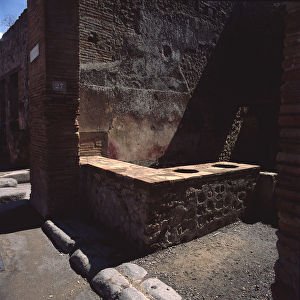 The latrine (photo)