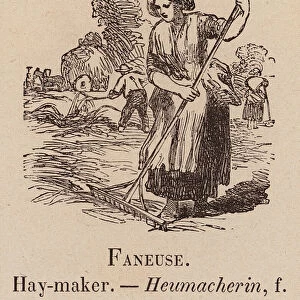 Le Vocabulaire Illustre: Faneuse; Hay-maker; Heumacherin (engraving)