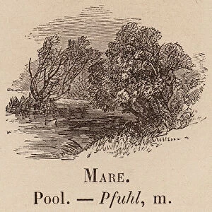 Le Vocabulaire Illustre: Mare; Pool; Pfuhl (engraving)