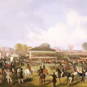Lord Westminsters Cardinal Puff, with Sam Darling Up, Winning the Tradesmans Plate