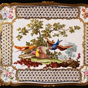 A Louis XV Sevres tray decorated with three exotic birds in a landscape