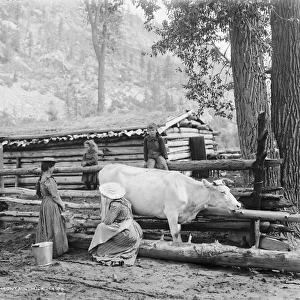 Mountain milk maids in Colorado, c. 1900 (b / w photo)