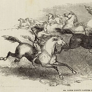 Mr Eaton Stones Capture of the Wild Horse of the Prairie (engraving)