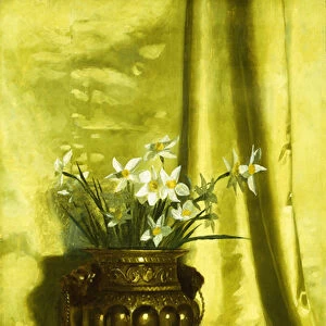 Narcissus in a Brass Vase, (oil on canvas)