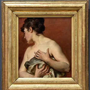 Nude Study, 1878 (oil on canvas)
