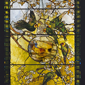 Parakeets and Gold Fish Bowl, c. 1893 (stained glass)