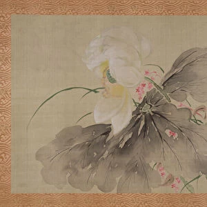 Peony Tree and Japanese Crab Apple Tree with blossom, 1851 (watercolour on silk)