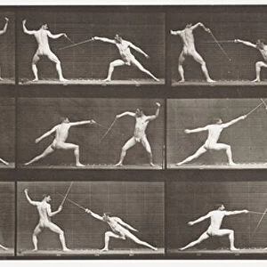 Plate 349. Fencing, 1872-85 (collotype on paper)