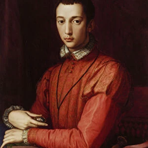 Portrait of Francesco I de Medici (oil on panel)