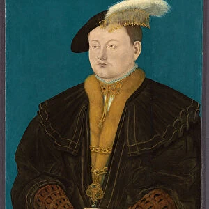 Portrait of Friedrich Magnus I von Solms-Laubach, 1543 (oil on panel)