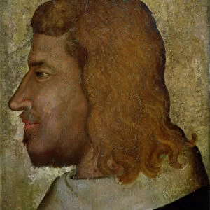 Portrait of John II, the Good (1319-64) King of France (oil on panel)
