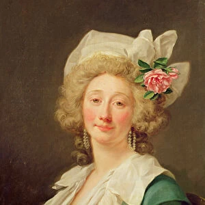 Portrait of a lady, 1782 (oil on canvas)