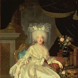 Portrait of Louise Marie Josephine de Savoie, Comtesse de Provence