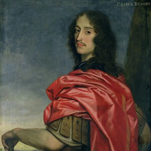Portrait of Prince Rupert (1619-82) (oil on canvas)