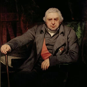 Portrait of Sir Joseph Banks, (1743-1820) 1810 (oil on canvas)