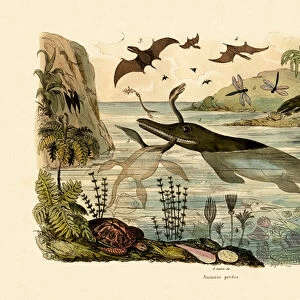 Prehistoric animals, 1833-39 (coloured engraving)