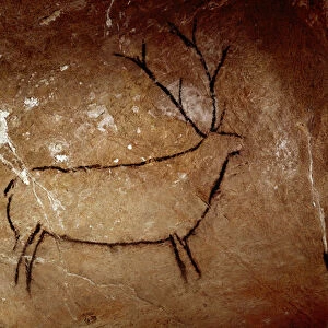 Prehistory : a deer. Upper paleolithic cave painting (Magdalenian) (16, 500 and 14