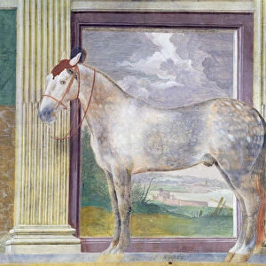 Sala dei Cavalli, detail showing a portrait of Dario