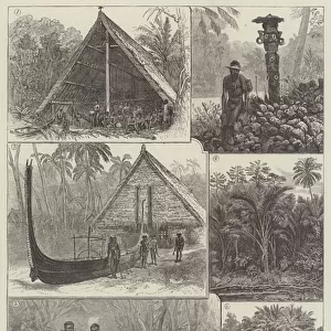 Sketches in the Solomon Islands (engraving)