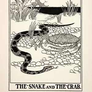 The Snake and the Crab, from A Hundred Fables of Aesop, pub. 1903 (engraving)