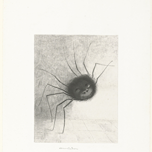 The Spider, 1887 (print)