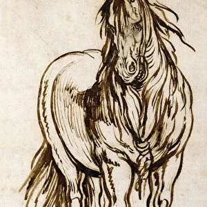 Study of a Horse, (pen and brown ink)