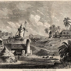 A sugar factory in Guadeloupe, drawing by Auguste de Berard (1824-1881)