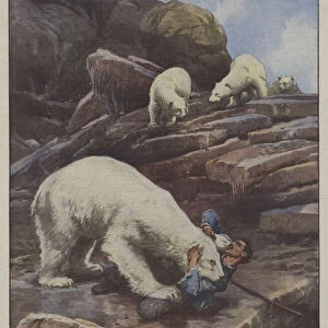 The surprises of zoos, orderly assaulted and seriously injured by a bear in the... (colour litho)
