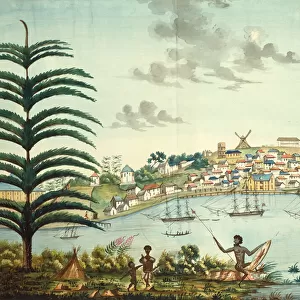 Sydney Cove and Town, c. 1806 (w / c)