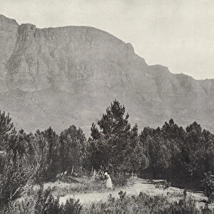 Table Mountain, from Wynberg (b / w photo)