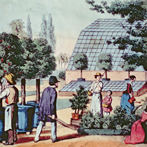 Tending the Garden, c. 1860 (colour engraving)