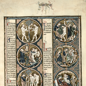 The Toledo Bible Moralisee f. 7v (vellum)
