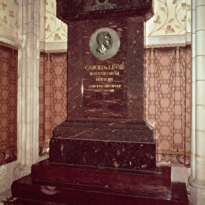 The tomb of Carl Linnaeus (1707-78) (photo)