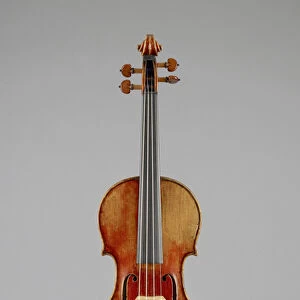 Violin (wood)