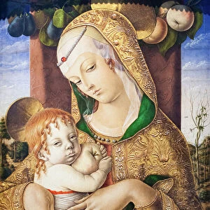 The virgin and child, 1480, (tempera on panel)