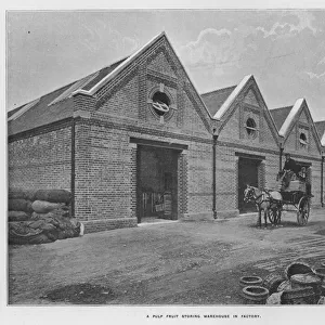 Whiteleys Farms: A pulp fruit storing warehouse in factory (b / w photo)