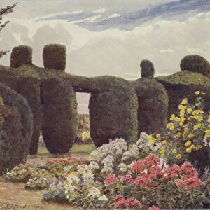 The Yew Hedge, Campsey Ashe (colour litho)