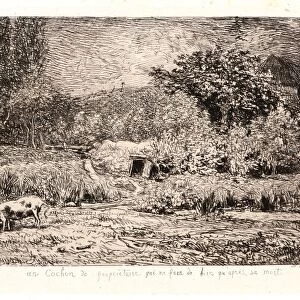 Charles Francois Daubigny (French, 1817 - 1878). Pig in an Orchard (Le Cochon dans un Verger)