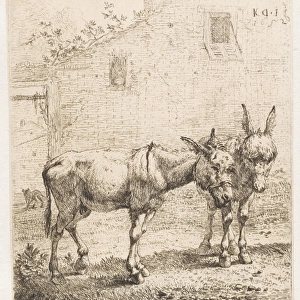 Two donkeys, Karel Dujardin, 1652