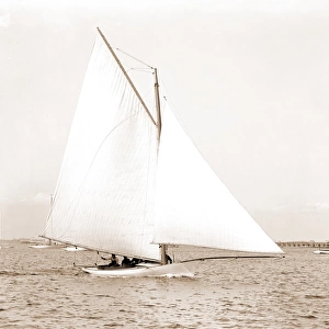 Eureka, Eureka (Yacht), Yachts, 1889