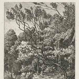 Forest view, Joseph Hartogensis, 1855