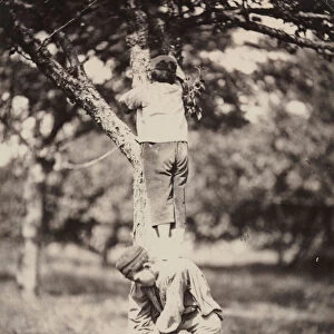 French Country Study Two Boys Climbing Tree late 1870