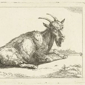 Goat, Jan Dasveldt, 1780 - 1855