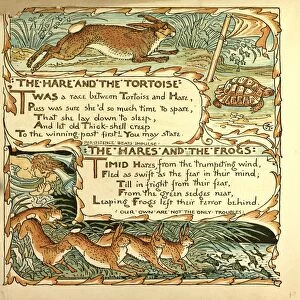 The Hare and the Tortoise; the Hares and the Frogs