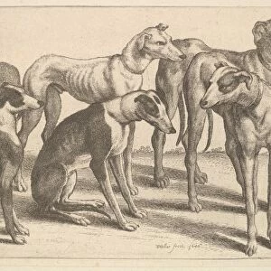 Six hounds 1646 Etching state Plate 5 3 / 8 8 1 / 16