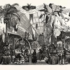 Industry Exhibition universal. Products of the French colonies