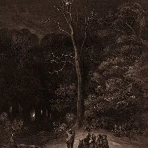 The Light in the Wood, by Gustave Dore