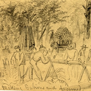 Making Gabions and fascines, 50th N. Y. Engineers, between 1860 and 1865, drawing