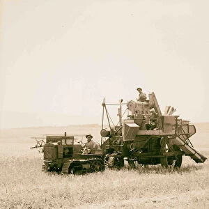 Modern harvester Plain Esdraelon 26 1935 Israel