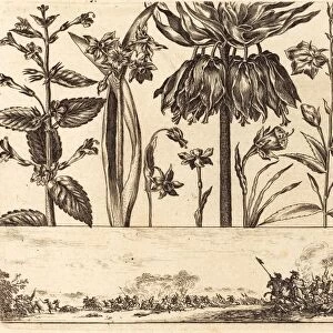 Nicolas Cochin after Balthasar Moncornet (French, 1610 - 1686), Flower Print no. 10